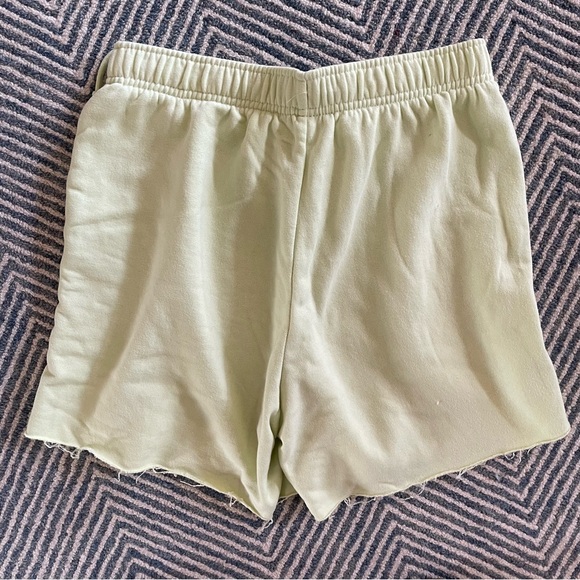 PacSun Shorts - Picture 4 of 6
